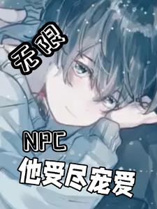 我是npc吗